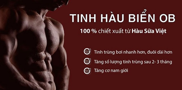 Tinh hàu biển có tác dụng gì