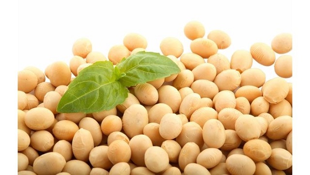 C&Aacute;CH D&Ugrave;NG ESTROMINERAL