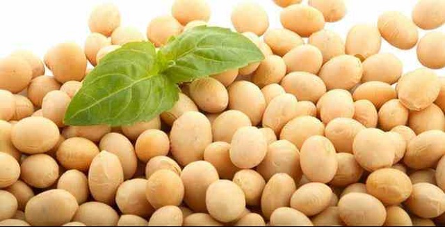 C&Ocirc;NG DỤNG ACTIVE MENO