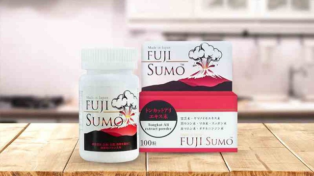 FUJI SUMO L&Agrave; G&Igrave;