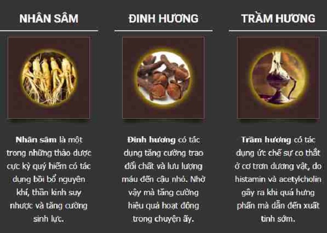 TH&Agrave;NH PHẦN BỒI NGUY&Ecirc;N THẢO