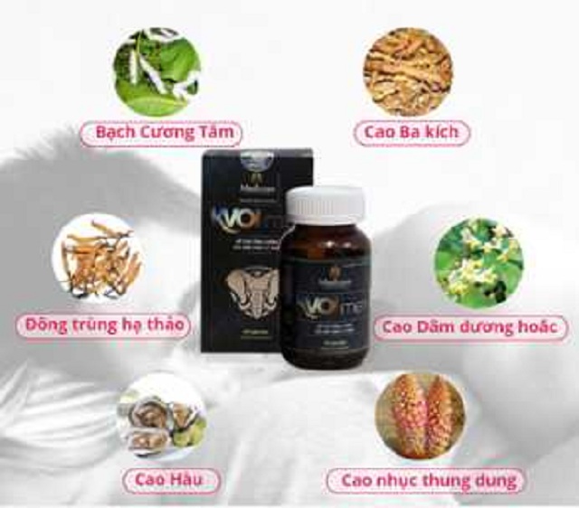 TH&Agrave;NH PHẦN KVOIMEN