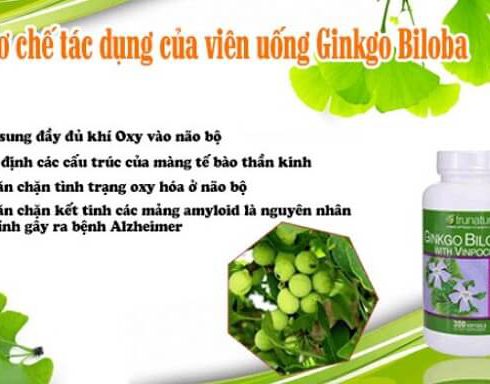 Thuốc Ginkgo Biloba 120mg 2000mg: Cách Dùng, Giá Bán 2020, Phản Hồi A-Z