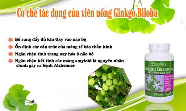 Thuốc Ginkgo Biloba 120mg 2000mg: Cách Dùng, Giá Bán 2020, Phản Hồi A-Z