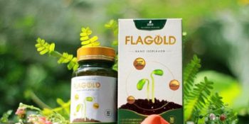 Mầm Đậu nành Flagold: Cách Dùng Giá 2020 Review Khách Hàng [CHI TIẾT A-Z]