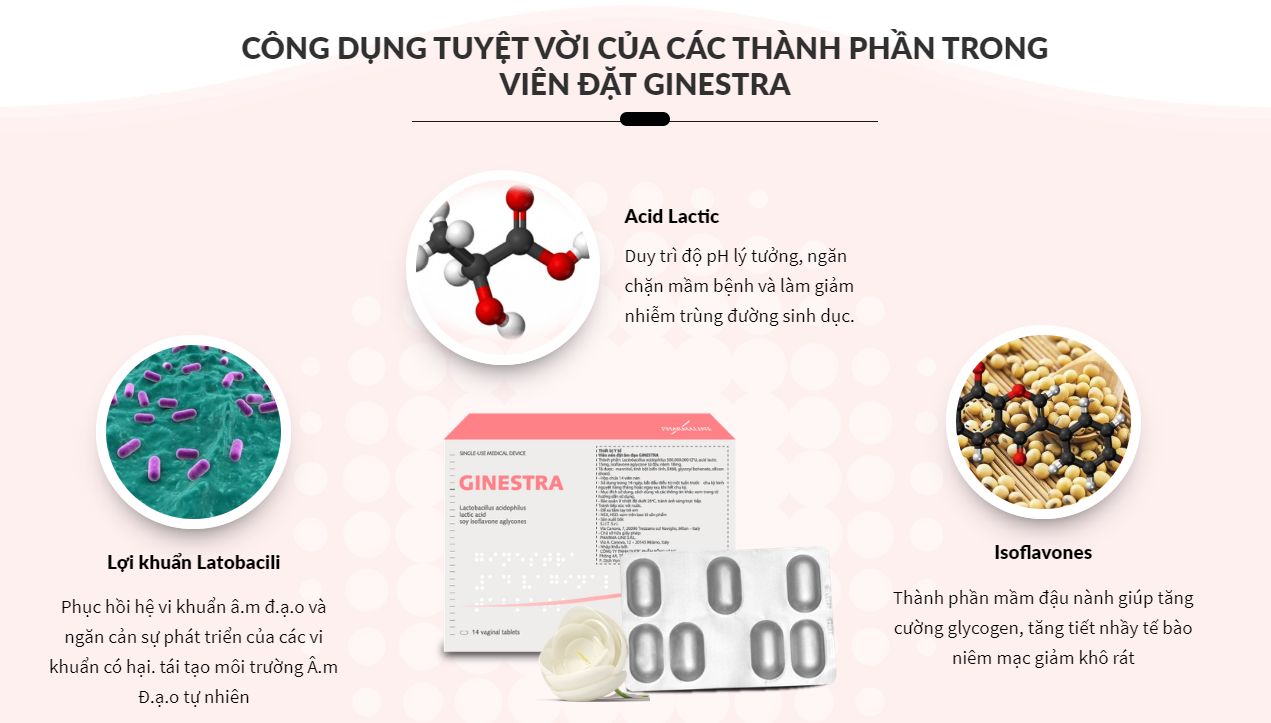C&Ocirc;NG DỤNG GINESTRA