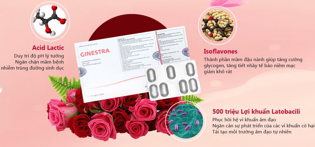 TH&Agrave;NH PHẦN GINESTRA