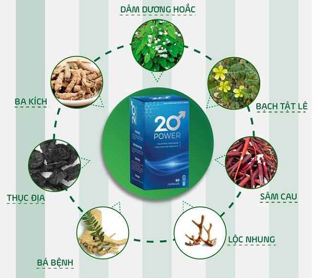 THÀNH PHẦN 20 POWER