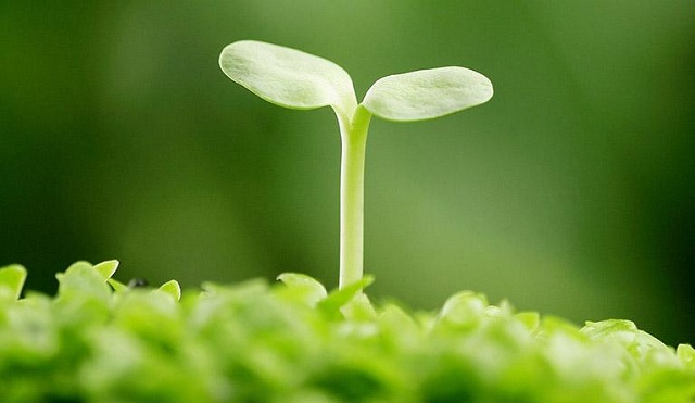 TH&Agrave;NH PHẦN TỐ NỮ NHẤT NHẤT