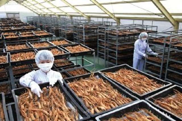 THÀNH PHẦN VƯƠNG LỰC KHANG