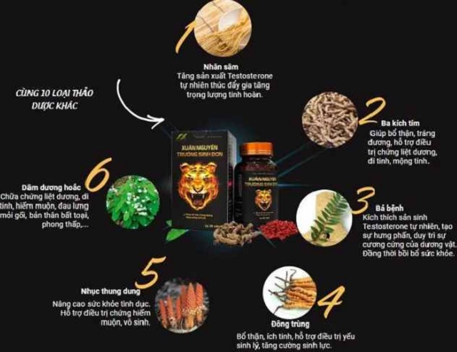 THÀNH PHẦN XUÂN NGUYÊN TRƯỜNG SINH ĐƠN