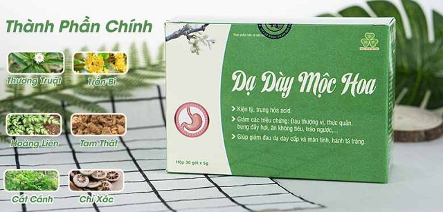 DẠ DÀY MỘC HOA (1)