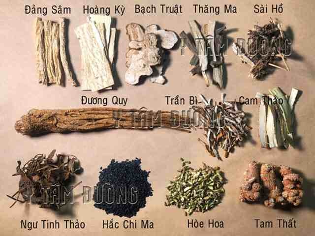 THUỐC CHỮA BỆNH TRĨ KHANG TRĨ