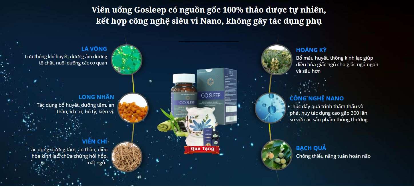 TH&Agrave;NH PHẦN GO SLEEP