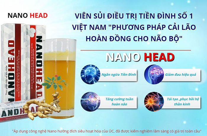 THÀNH PHẦN NANO HEAD